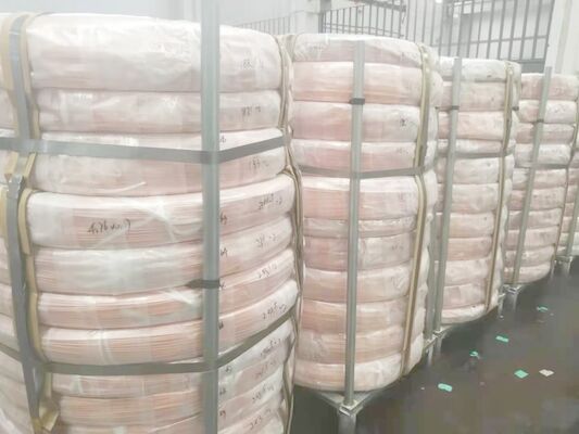 Goede prijs. Ronde Gelaste het Staalbuis van ERW 12000mm Lengte online