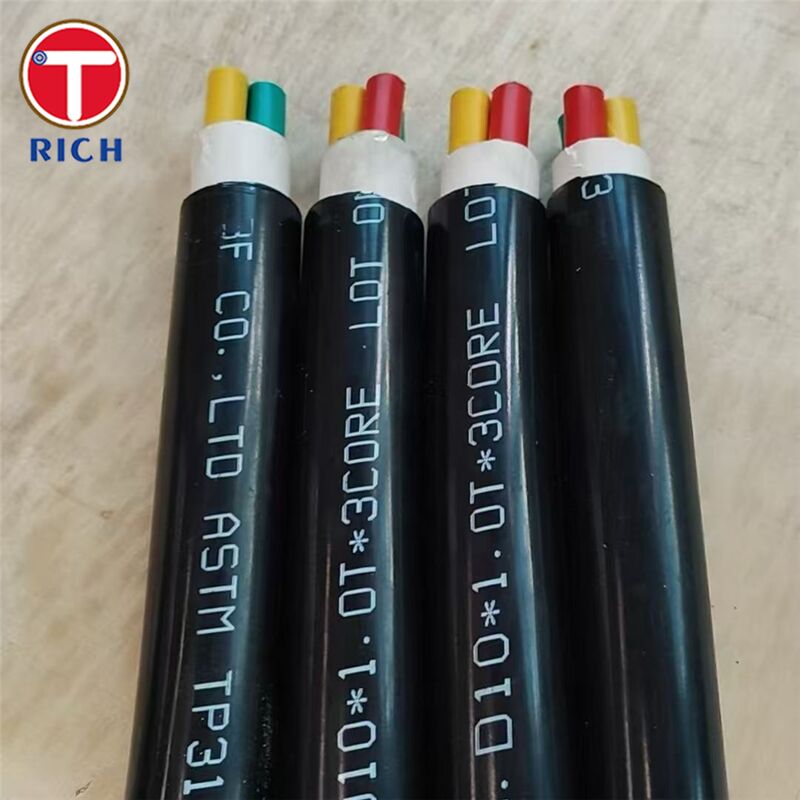 Naadloos buisje van ruwstaal met meerdere kernen met een plastische coating voor scheepsbouw in 304L/316L/Duplex 2205 en koudgetrokken/warmgewalste technieken