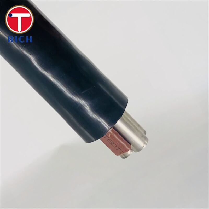 Naadloos buisje van ruwstaal met meerdere kernen met een plastische coating voor scheepsbouw in 304L/316L/Duplex 2205 en koudgetrokken/warmgewalste technieken