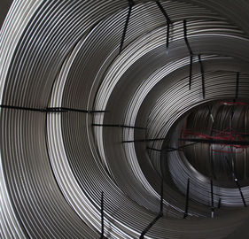 Goede prijs. De buis van de het Roestvrije staalrol van ASTM A269/A249 online